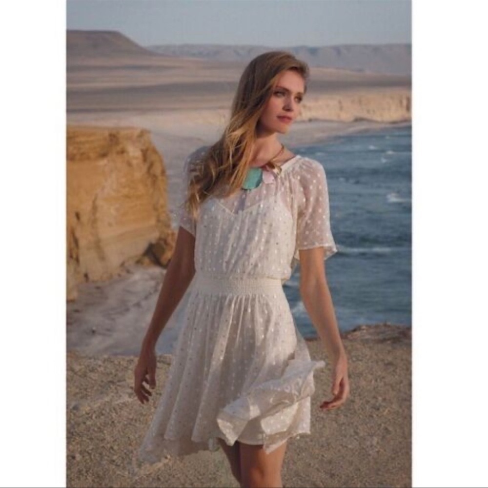 Anthropologie leifnotes mesh dress